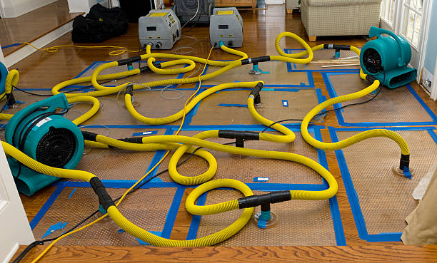 Professional Emergency Water Removal technician working in West Des Moines, IA
